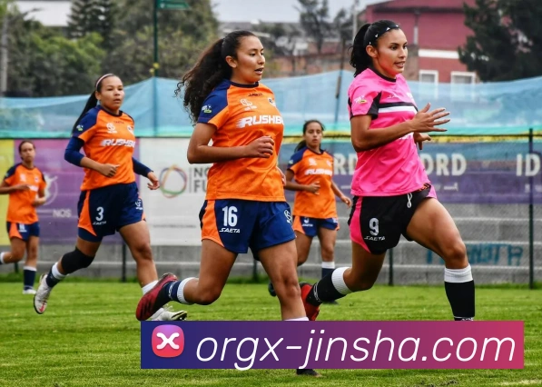 金沙国际平台生态图